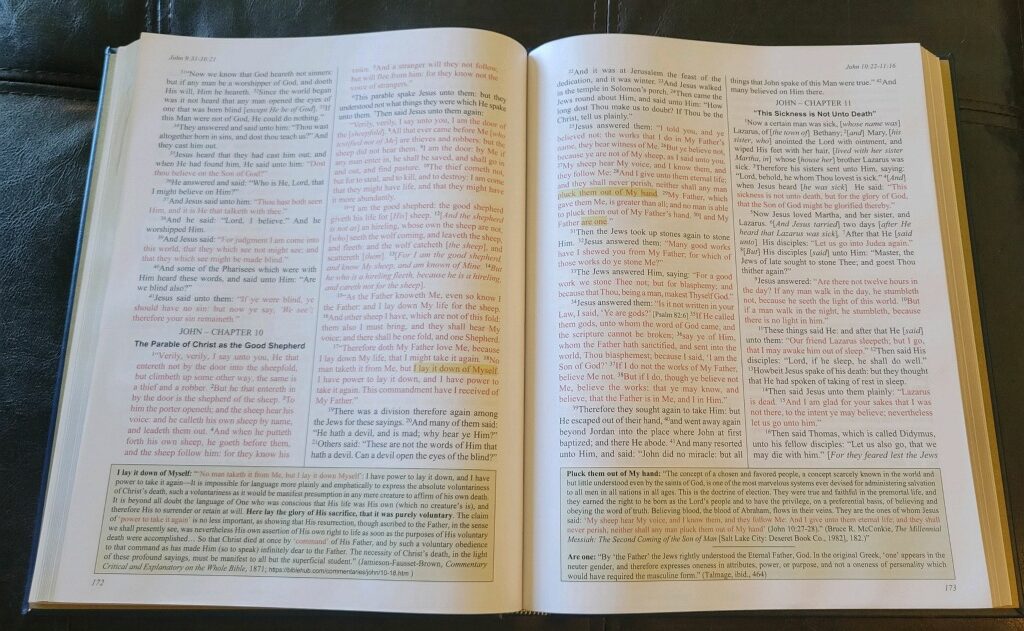 Annotated Edition: The New Testament - Image 3