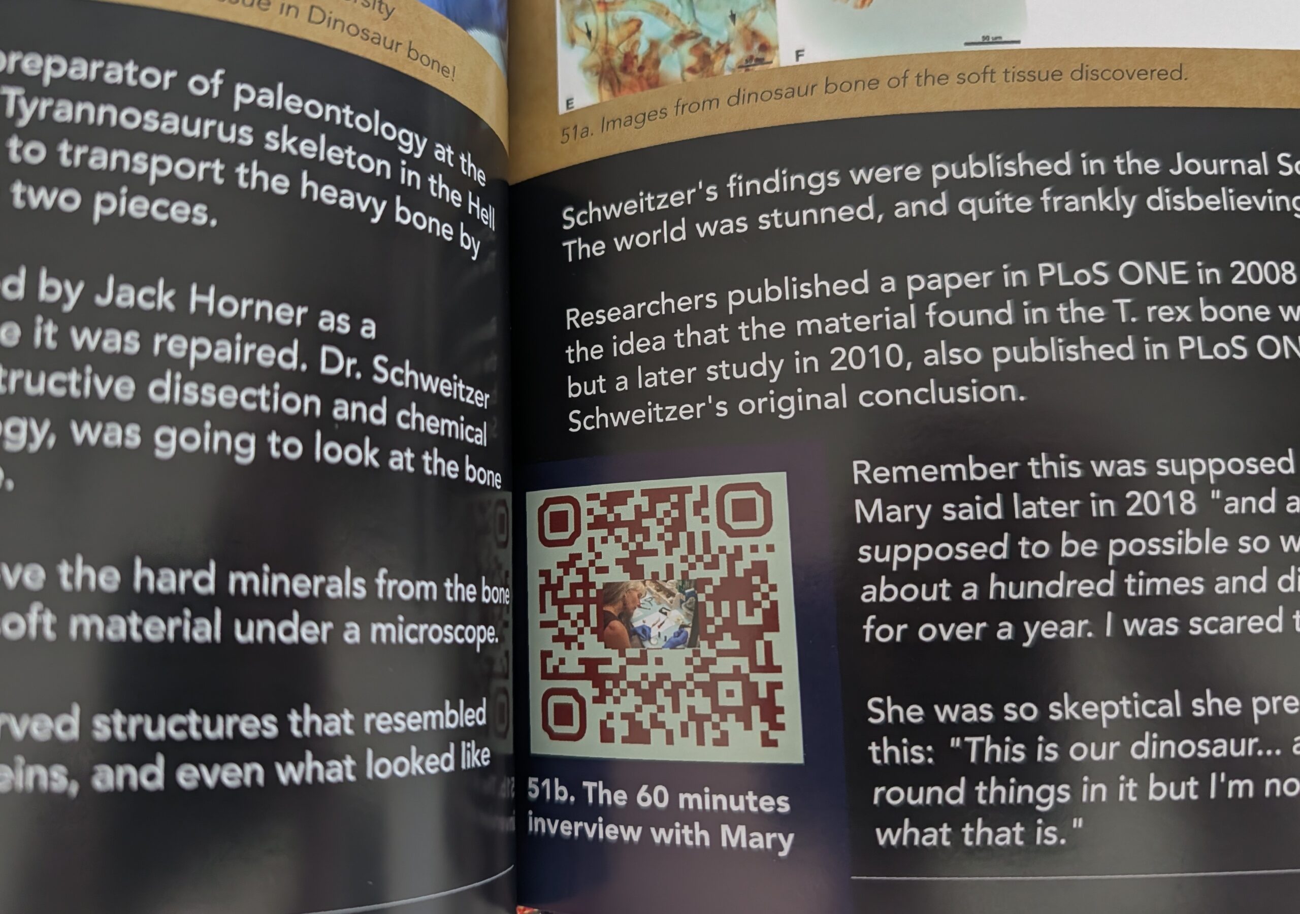 Dinosaurs in Scripture - Aligning science and religion -by Jeremy Michel - Image 5